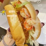 汉堡届的天花板