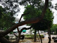 -福建师范大学(仓山校区)