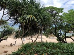 -三亚蜈支洲岛旅游区