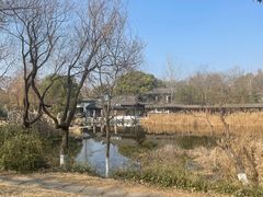-日出青木