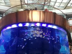 -OPEN開全日自助餐厅·牛肉火锅·海鲜(佛山希尔顿酒店)