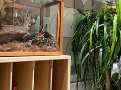 -一尺花园(安和花园店)