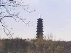 -江苏三台山国家森林公园