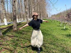 -黄海国家森林公园