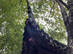 -秋霞圃