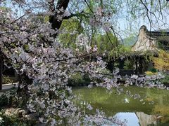 -惠山古镇·寄畅园