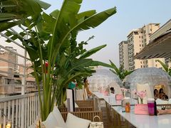 -天空花园餐吧·生日·团建(南山店)