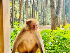 -重庆雨台山风景区