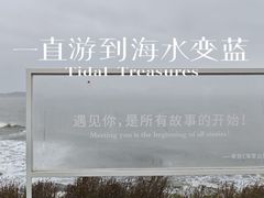 -燕儿岛山公园
