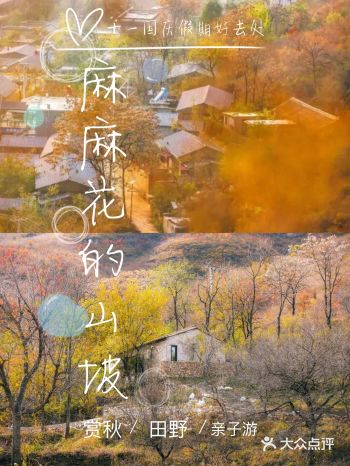 十一国庆假期 |麻麻花的山坡，亲子游芳香之旅