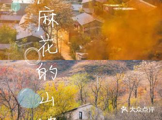 十一国庆假期 |麻麻花的山坡,亲子游芳香之旅