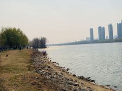 -长白岛森林公园