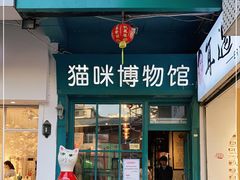 -猫咪博物馆(顶澳仔猫街店)