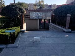 -永平路(地铁站)