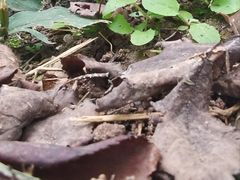 -白鹭湾湿地公园