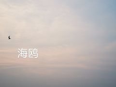 -天津金海湖