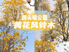 -洲头咀公园