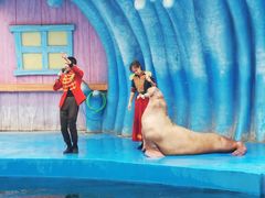 -华夏文旅海洋公园