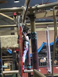 -卡通尼·Safari非洲探索乐园·生日会(金桥国际商业广场店)