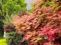 -苏州香山国际大酒店