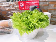 -木槿花開