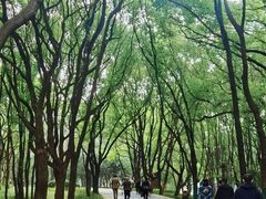 -东湖落雁景区