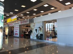 -谢列梅捷沃国际机场