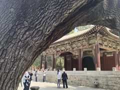 -晋祠博物馆