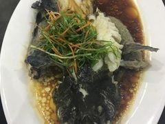 石斑鱼-四川小胡子海鲜(丁村万人海鲜广场店)