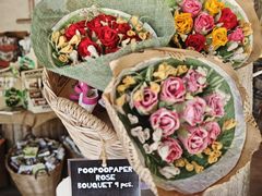 -大象粑粑造纸公园