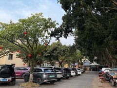 -胖大姐黄辣丁鱼庄(新津店)