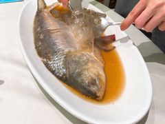 -蝶园·装修中(BFC外滩金融中心店)