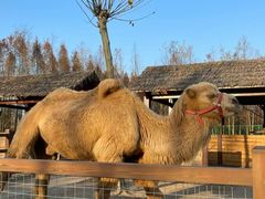 -云碧峰国家森林公园