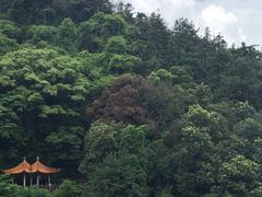 -安溪清水岩