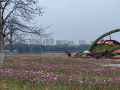 -海珠湖公园