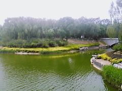 -大兴滨河森林公园