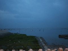 -奉贤海滩