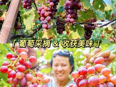 -沉浸北京·团建旅行·密室剧本杀·年会会议轰趴拓展