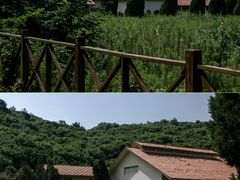 -平湖九龙山旅游度假区