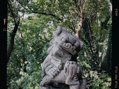 -阅江楼风景区