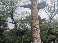 -北陵公园
