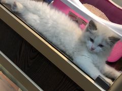 -乐宠宠物店(世纪金源店)