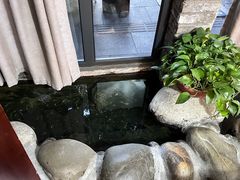 -玉芝兰(长发街店)
