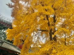 -承恩寺