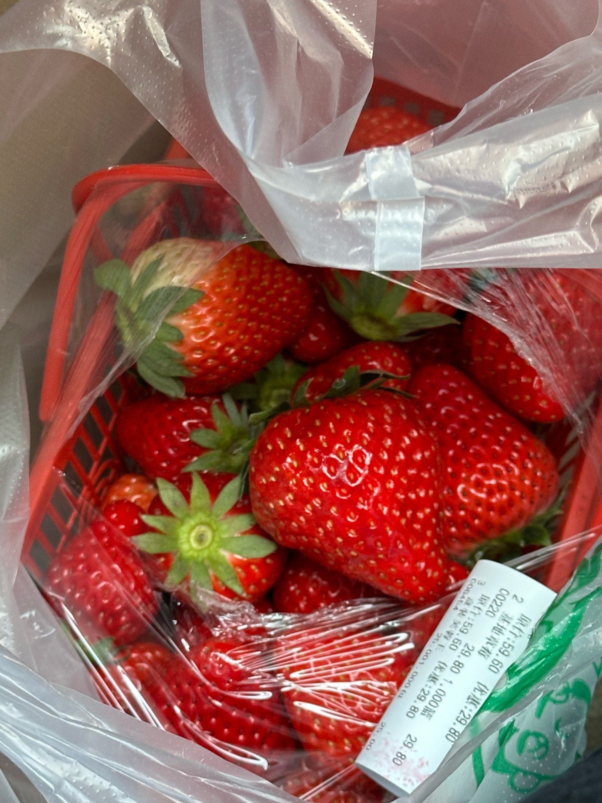 草莓脑袋