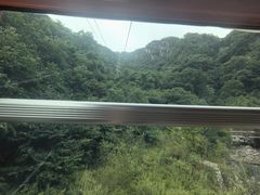 -牛背梁国家森林公园