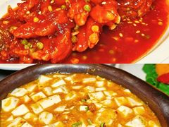 -羲和雅苑•北京烤鸭(国贸商城店)
