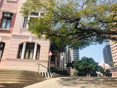 -香港大学
