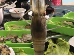 -蚝专家