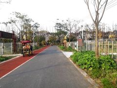 -上海长兴岛郊野公园